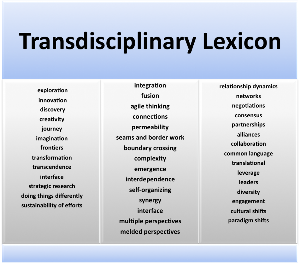Transdisciplinary Lesicon
