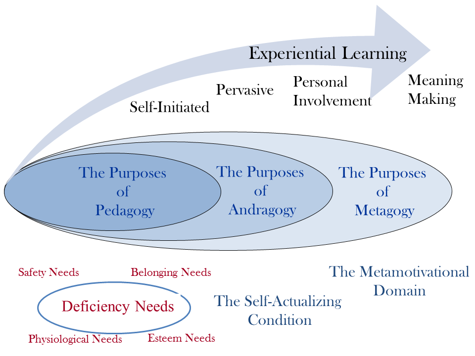 Figure 2. Activating the Growth Path through Experiential Learning