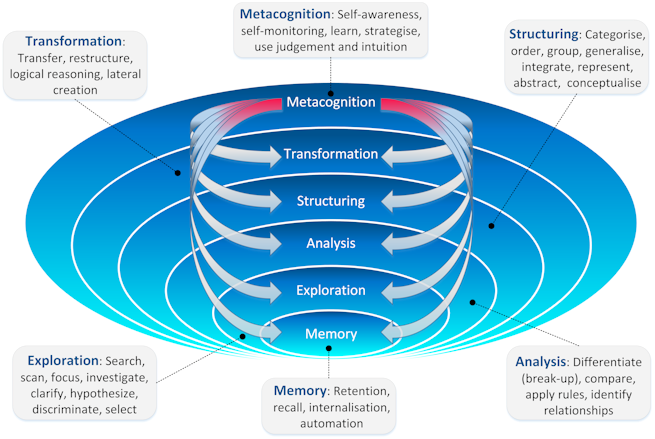 Cognitive Theories Focus On 2024 favors