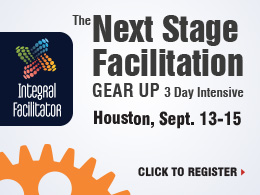 Integral Facilitator