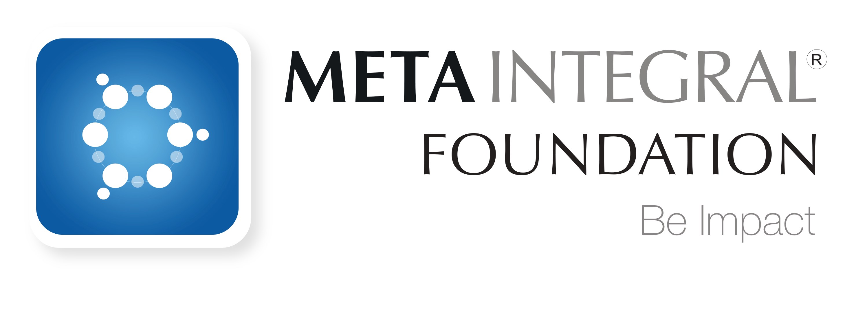 metaintegral logo