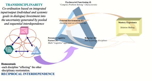 Goal rules as embodied into component and environment game